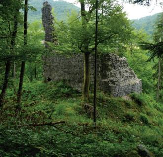 Ruševine gradu Stara Soteska, Wikipedia